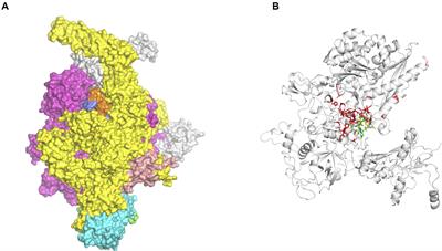 Genomics, Computational Biology and Drug Discovery for Mycobacterial Infections: Fighting the Emergence of Resistance